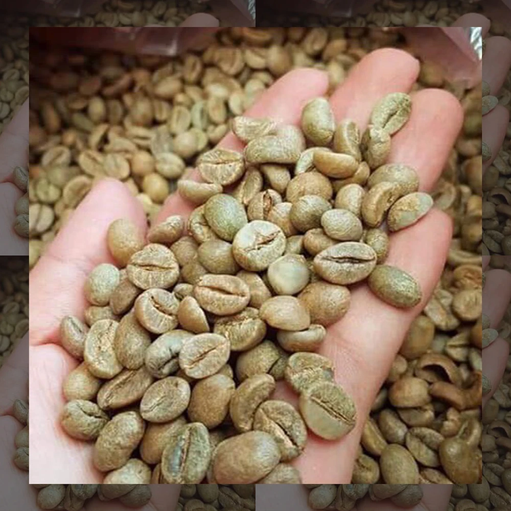 60kg Jute Bag Green Arabica Coffee Beans Sceen 16/18 From Best Coffee In Vietnam