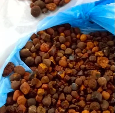Best Quality Ox Gallstones | Cattle Gallstones| Cow Gallstones