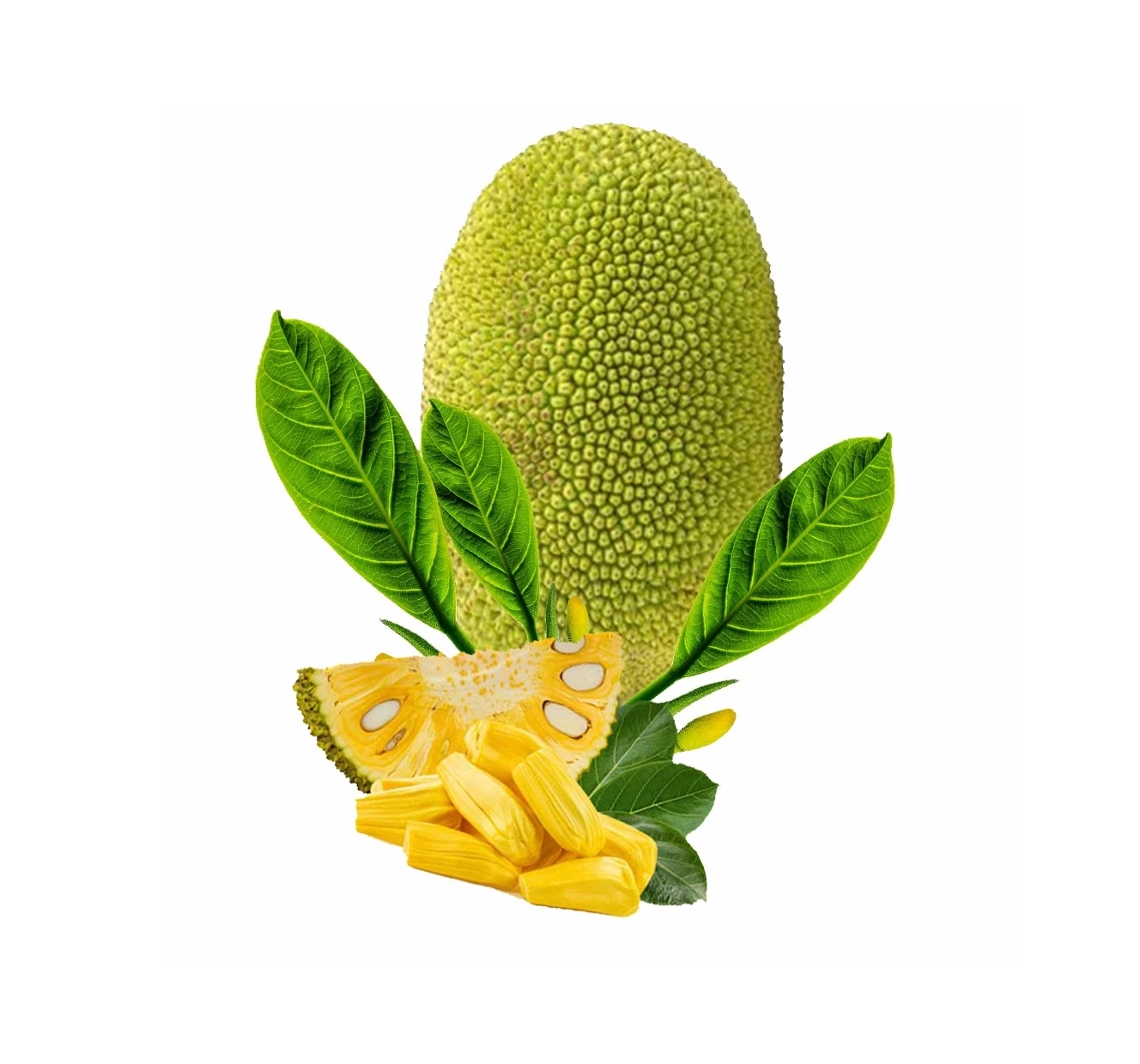 Оптовая продажа тропические фрукты лучшего качества натуральный сладкий вкус свежий Jackfruit 100% желтый цвет Лидер