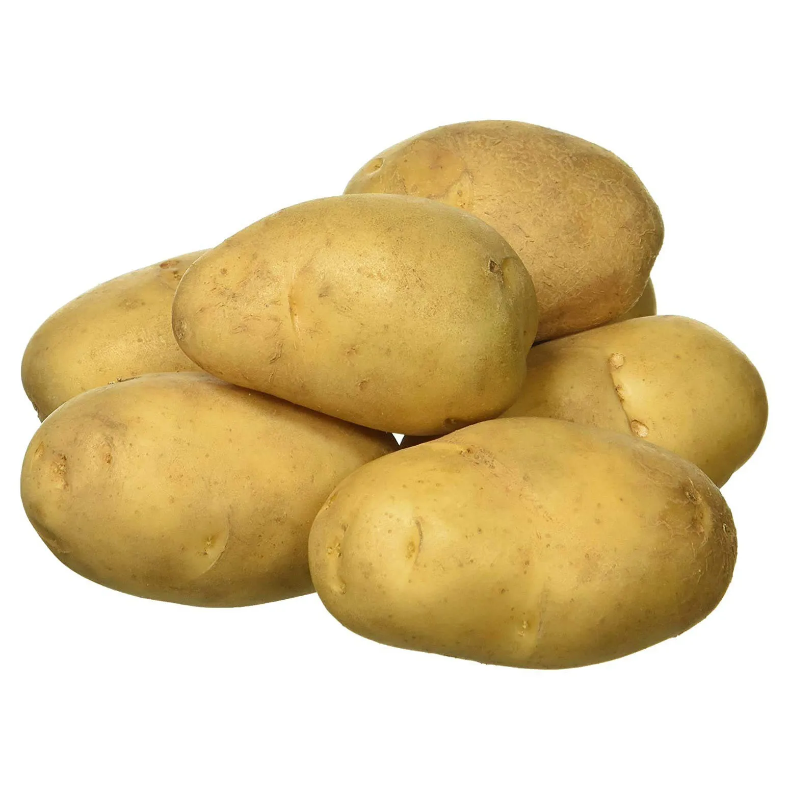 New Harvest Fresh Potatoes Exporters fresh potatoes Popular vegetable fresh potato wholesale price FOR SALE