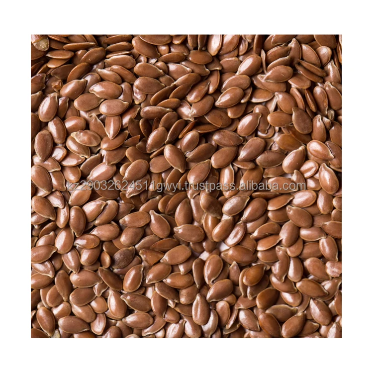 Best price hot sell Oil flax seeds for birds and animals feed plants bulk items from Kazakhstan