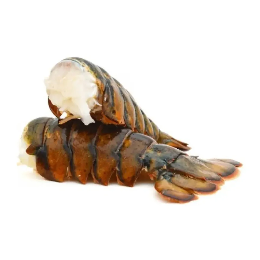 Fresh Seafood Lobster Wholesale