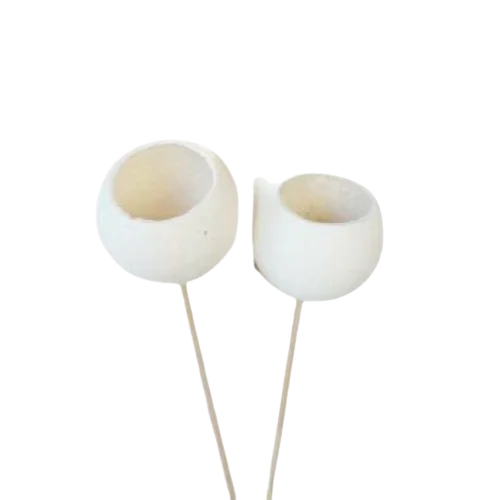 High Quality Wholesale Natural Bell Cup: Natural & Bleached for Christmas Decor & Other Festive Decor