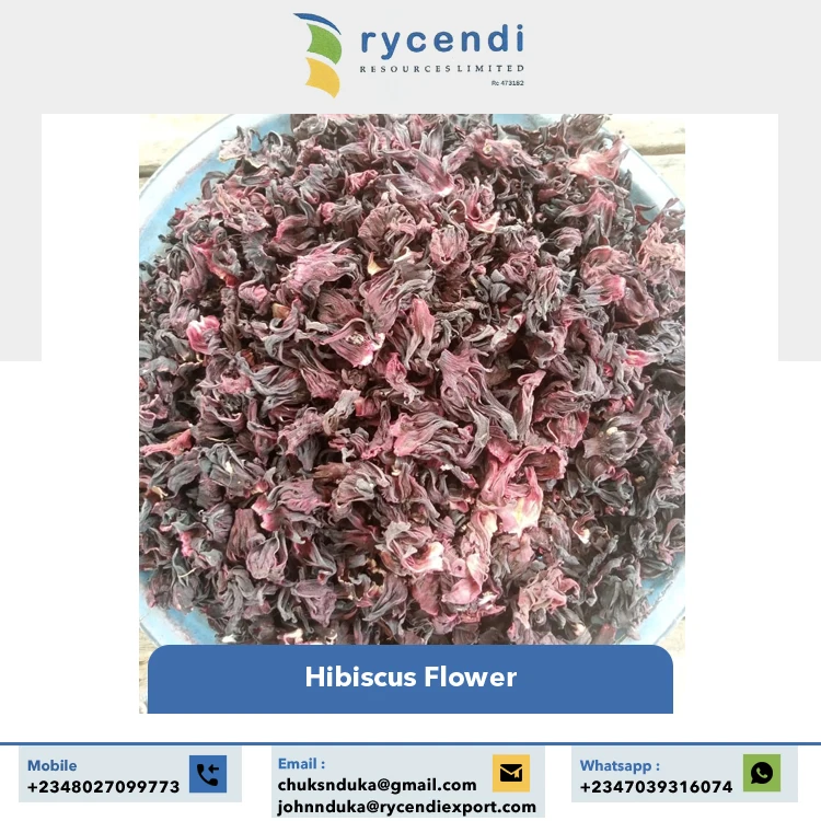 Real Natural Pleasant Taste Calcium Content 100% Clean & Dried Hibiscus Cut Fresh Flower at Wholesale Supply by Supplier