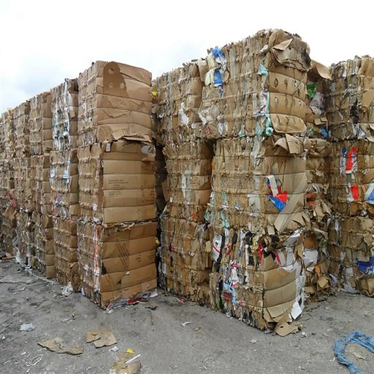 Wholesale Supply Of Used Cardboard Waste Paper And Selected Occ Waste Paper Scrap at very cheap price