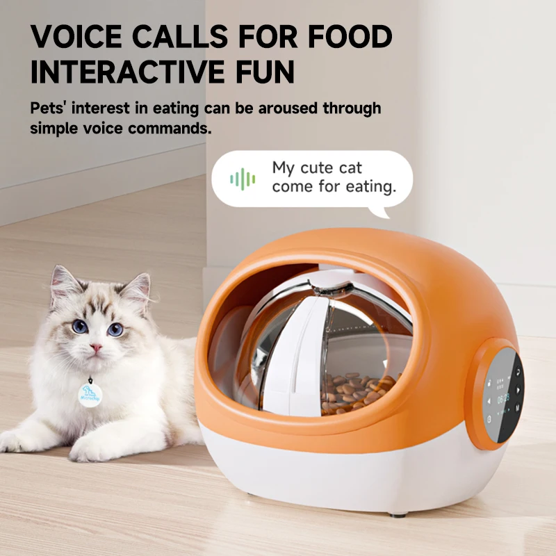 Smart chip recognition induction timing automatic feeder insect-proof wet food fresh-keeping pet cat bowl