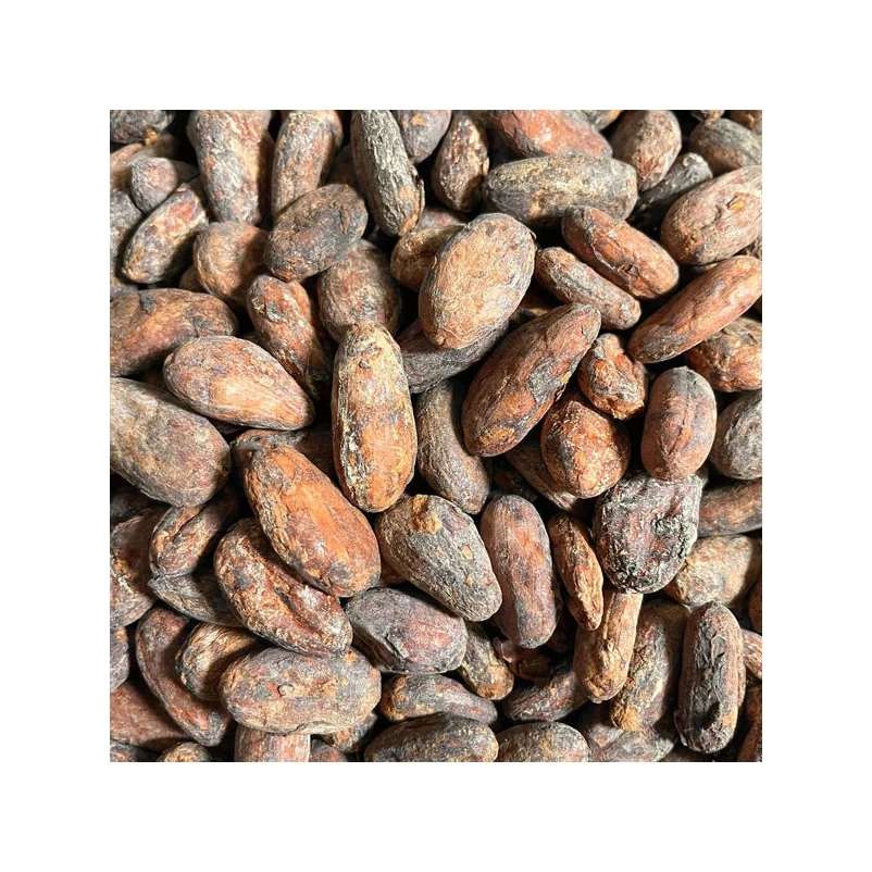 Bake material Natural wholesale price dried Raw Cocoa Beans coco bean for sale