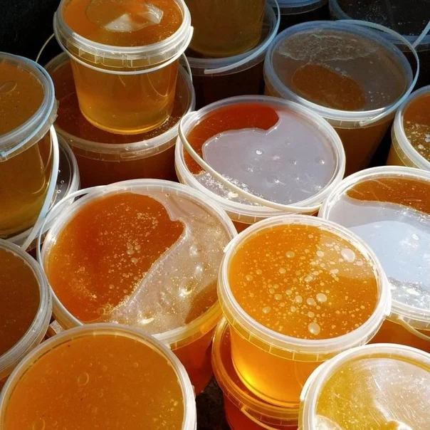 Hot Selling Discounts Price Natural Raw  Royal Honey  Wholesale price