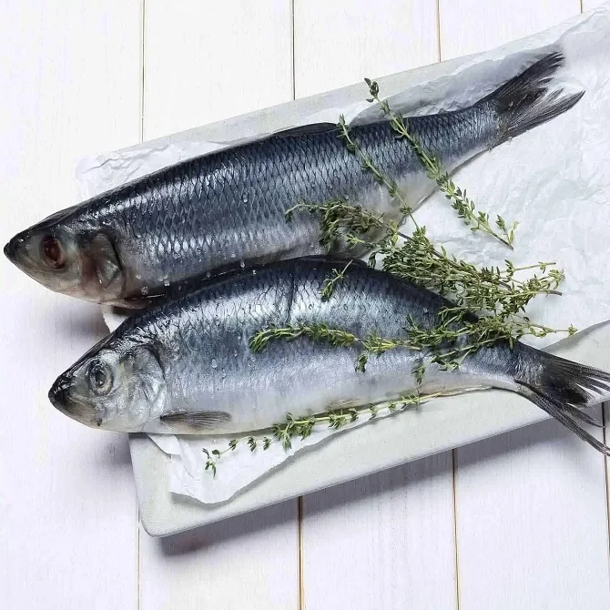 Buy Fresh Herring Fish Online | Pacific Herring Seafood at Best Prices