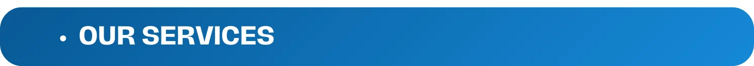 Our Services.png