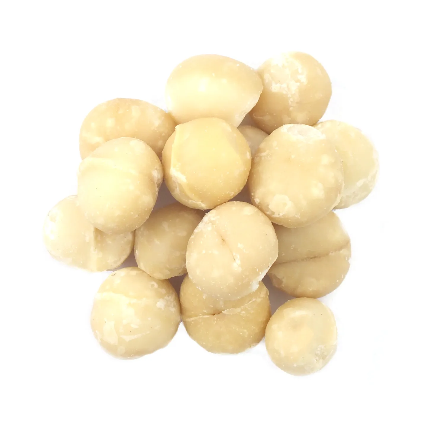 Buy Premium Organic Roasted Macadamia Nuts in Dark Shell Color Baked Clean Brown Healthy Snack Stock Now for Sale
