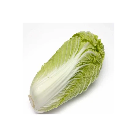 New Crop Natural Organic Vegetables Fresh Chinese Celery Cabbage