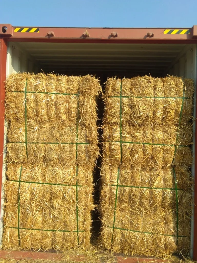 Zero Waste Natural Rice Straw From Pakistan/ High Quality Rice Straw/Animal Feeding Rice Straw Hay Bales for Qatar