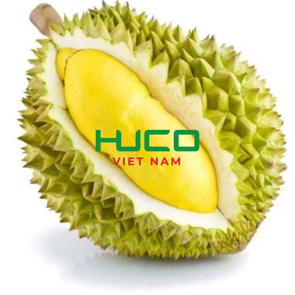 Fresh Durian Fruit from Vietnam High Quality at Cheap Price for worldwide shipping