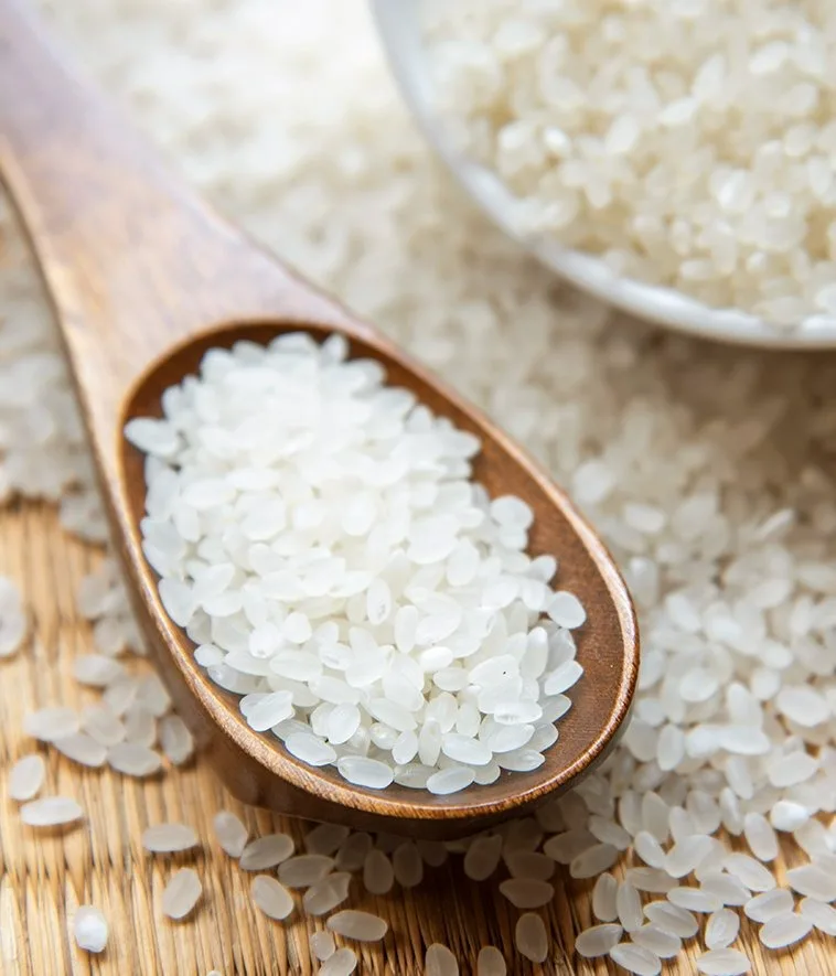Quality Japonica Rice Soft Delicious Best Price Natural White Japonica Rice Best White round rice fresh