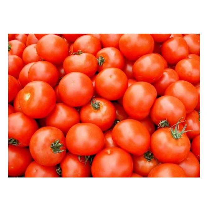Свежие помидоры, новый сезон, Вкусные Высококачественные красные томаты
