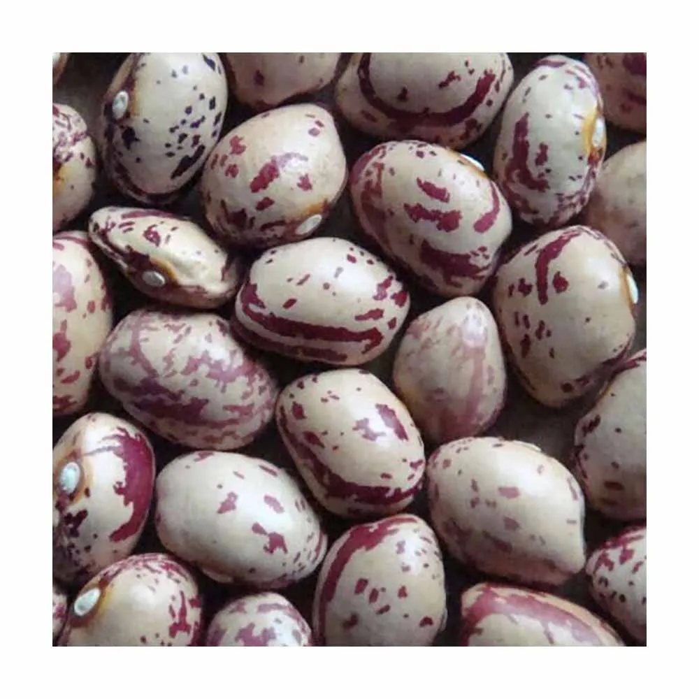 Premium Natural Pinto Kidney Beans High Quality Best Price Directly from Producers-White & Black Beans for Food Use