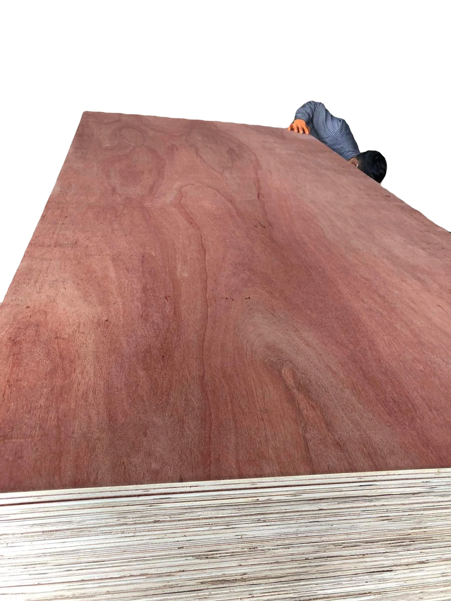 Plywood Sheet Plywood Furniture Glue High Quality Made in Vietnam MR Waterproof Sale Style Industrial Surface