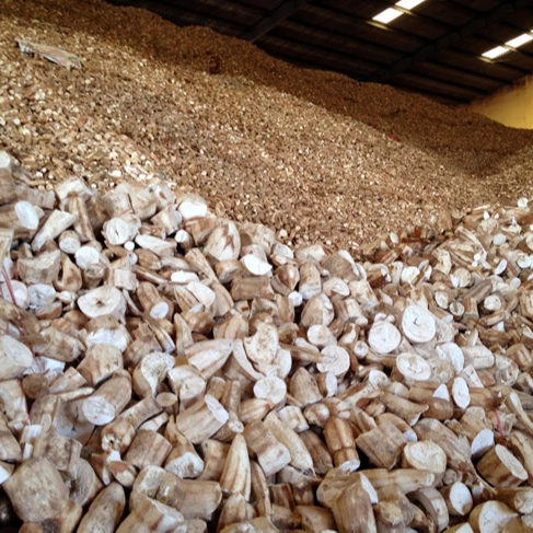 Vietnamese Tapioca Chip For Feeding Animal Cassava Chips for Making Animal Food