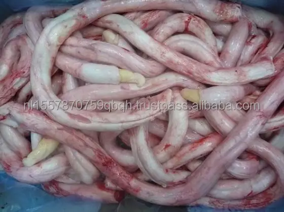 Frozen Beef Pizzle (PENIS) Fresh Chilled Processing Beef Penis Halal Nutritious Frozen Buffalo Meat Beef Pizzle Cheap price
