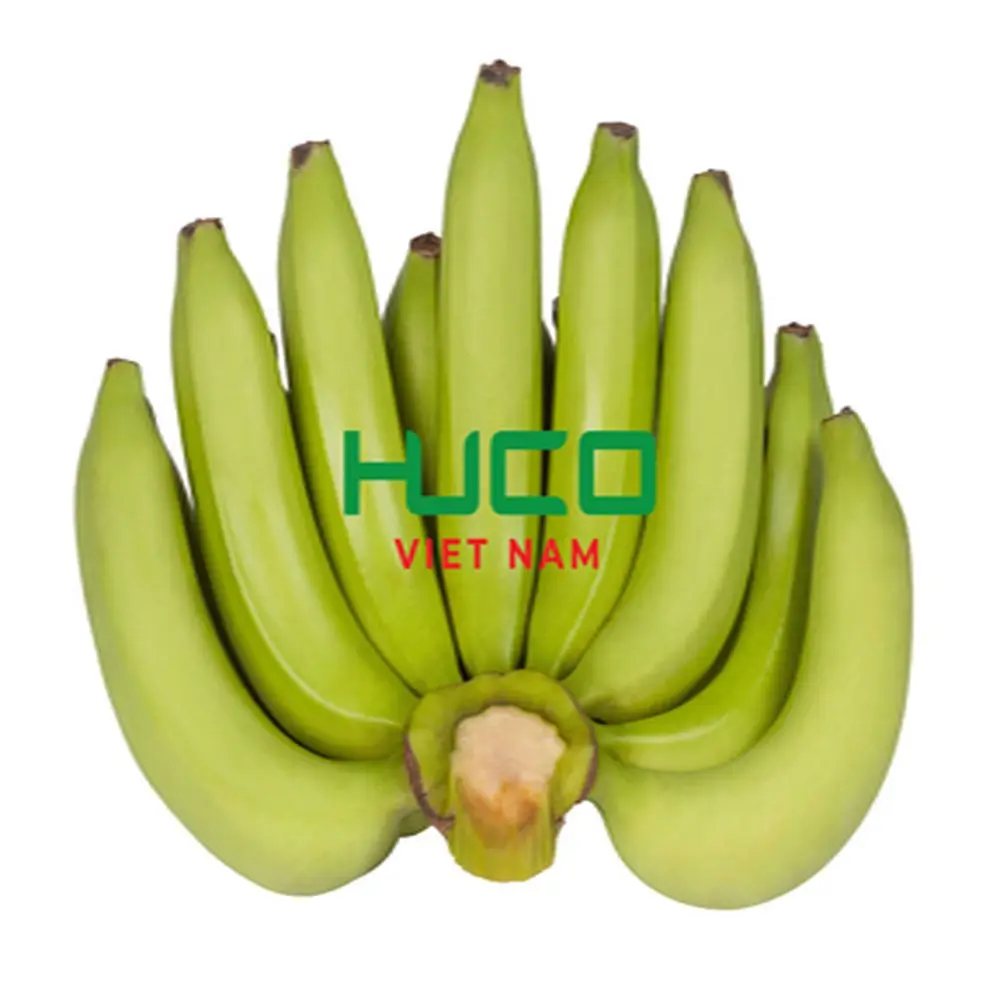 Vietnam Fresh Banana Organic Best Quality Competitive Price