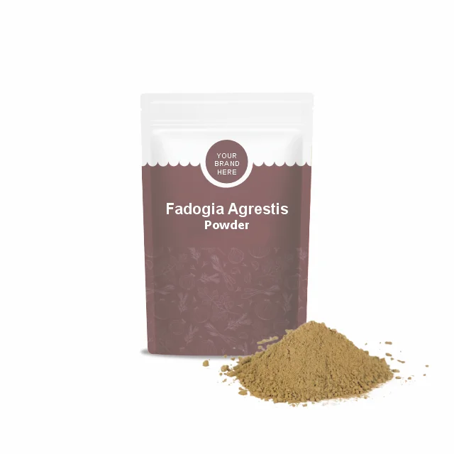 Fadogia Agrestis Extract Powder | Fadogia Agrestis Extract for Men | Fadogia Agrestis Supplement