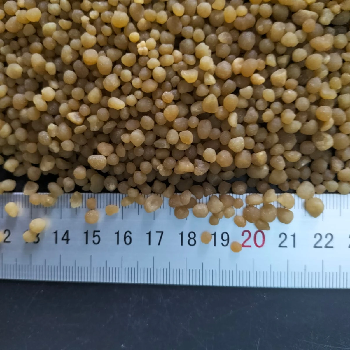 High Quality granulated Diammonium Phosphate DAP fertilizer