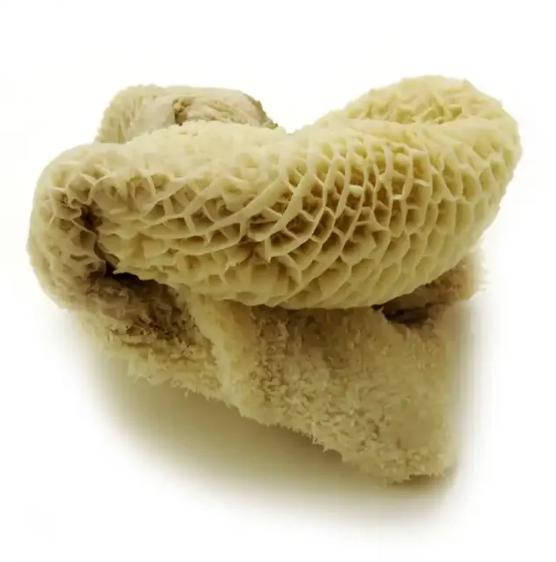 Dried salted Frozen Beef Omasum/ Cow Stomach/ Grade Halal Cheap Price