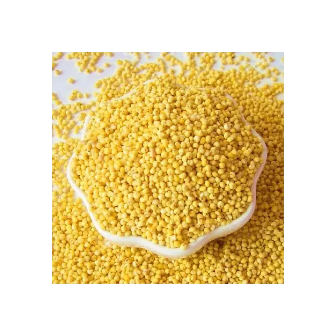 Crop Grain Dried Hulled Yellow Millet For Bird Feed