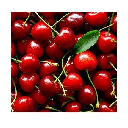 High grade non GMO sweet cherry wholesale fresh fruits from Uzbekistan new crop fresh cherries for Food