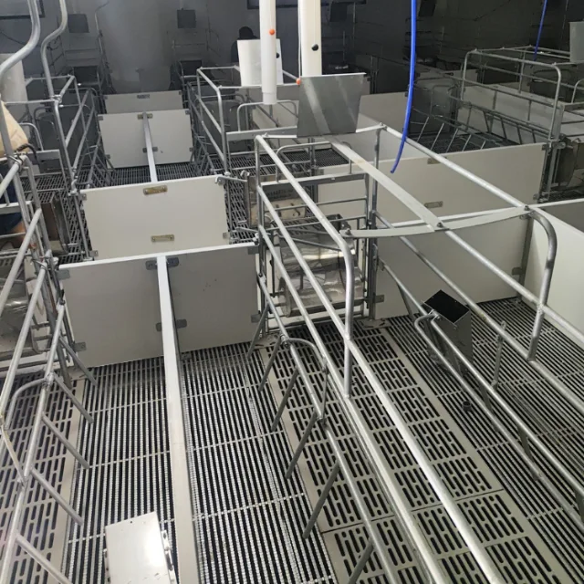 Newly designed pig farming equipment  made of stainless hot-dip galvanized steel for wholesale and retail sale made in Viet Nam