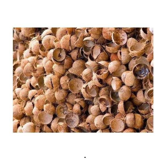 Natural Material Agricultural Waste Charcoal Coconut Shell Wholesale  Palm Kernel Shell Cheap Prices From Indonesia