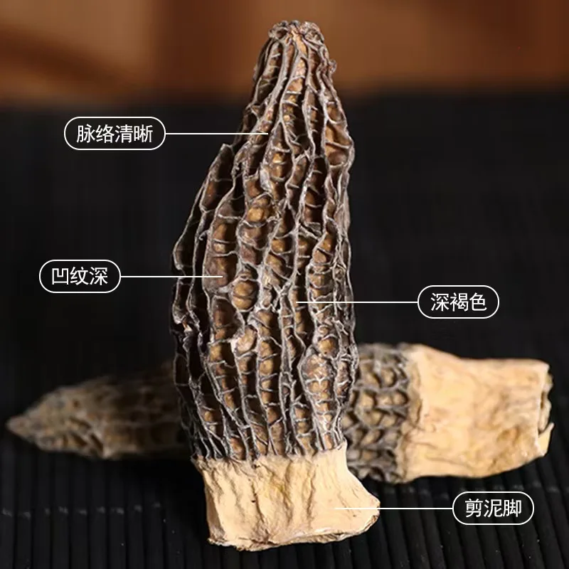 High End Wholesale Price Morels Organic Dried Morels Morels Black Mushrooms AD Black Mushroom Growing Bag Carton, Bag IQF Yunnan