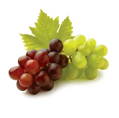Grapes Sweet & Seedless Natural Green Grapes with Rich Vitamins Produced in France
