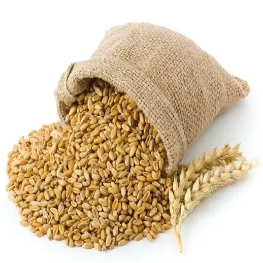 China Natural  Wheat Grains