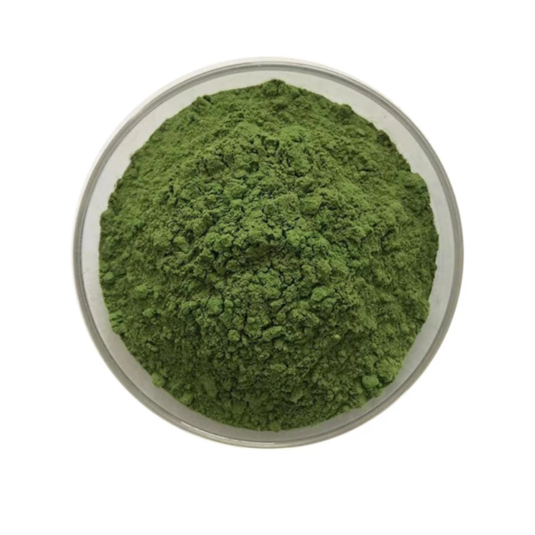 Factory Supply Food Grade Moringa Leaf Extract Moringa Leaf Powder Good For Health And Sugar Patient Origin Moringa Leaf Powder