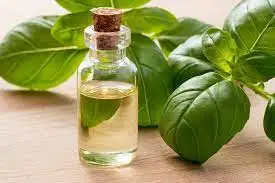 Wholesale Supplier Basil Essential Oil Pure Aroma Cosmetic Grade Basil Oils
