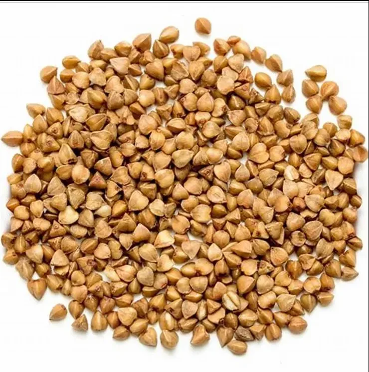 Factory supplier Wholesale Chinese 100% pure roasted barley tartary buckwheat