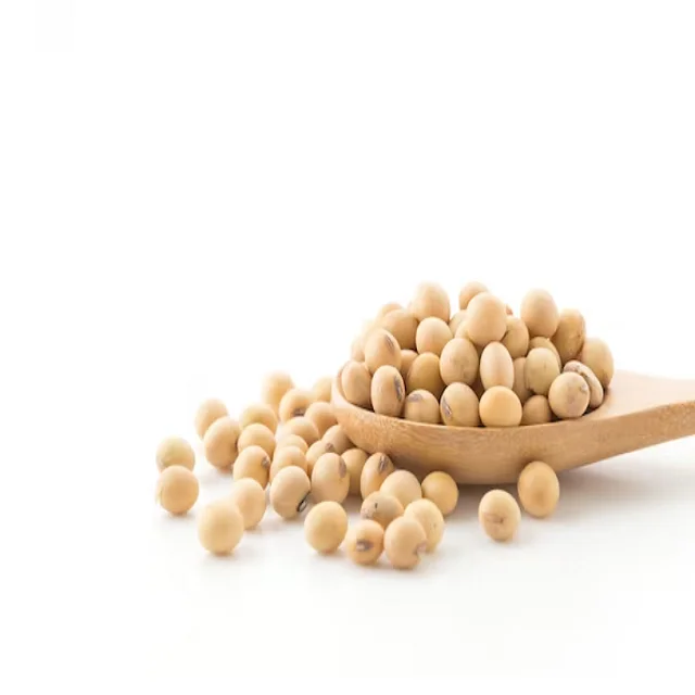 Wholesale Quality High White Hilum Grade Non Gmo Organic Yellow Soybeans Delicious Soybeans Sale by