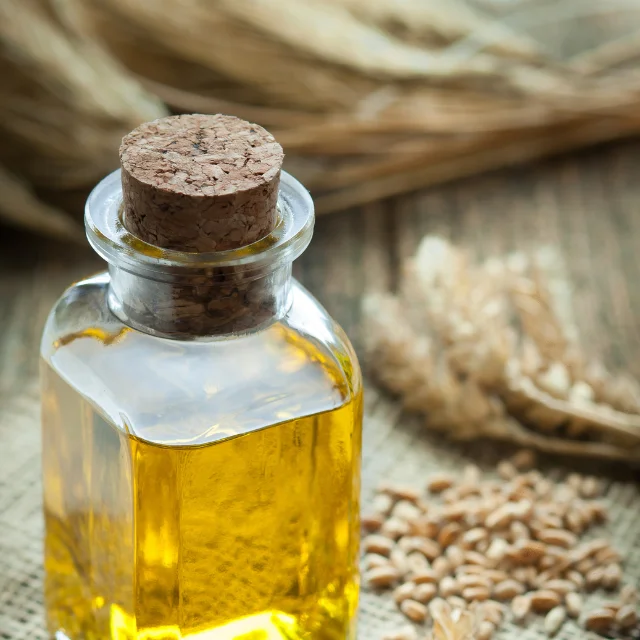 WHEAT GERM OIL INDIAN MANUFACTURER KANHA NATURE OILS PREMIUM QUALITY WHOLESALE PRICE BUY BULK QUANTITY