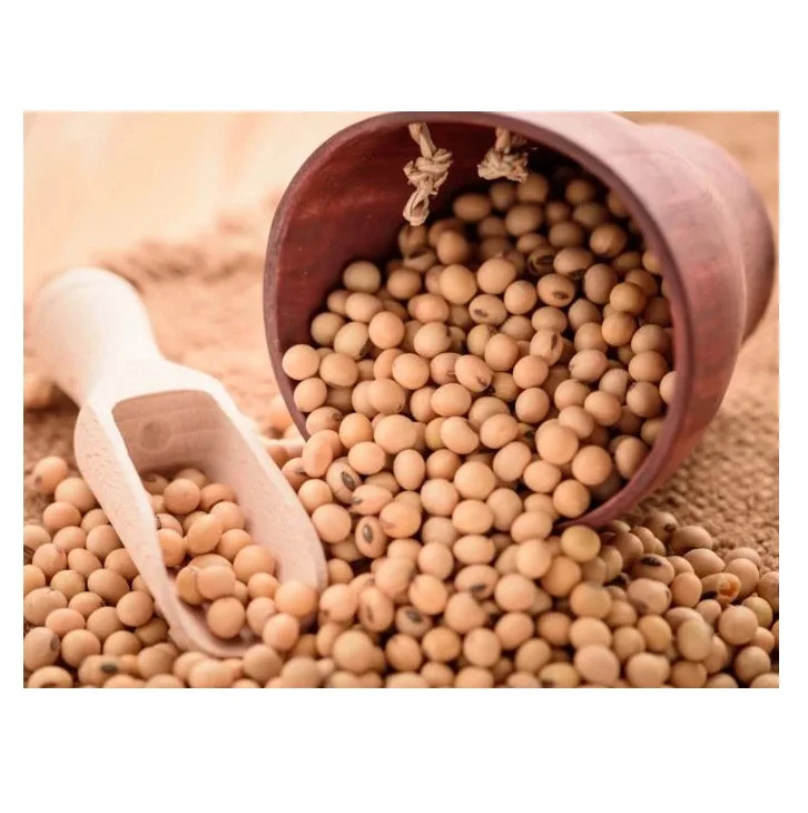 High Protein Yellow Soybean Soya Beans / Soy Bean For Sale