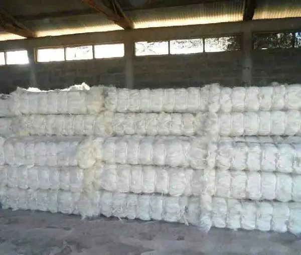 NATURAL SISAL FIBER AND YARN OF KENYAN ORIGIN / TEXTILE RAW MATERIAL SISAL FIBER