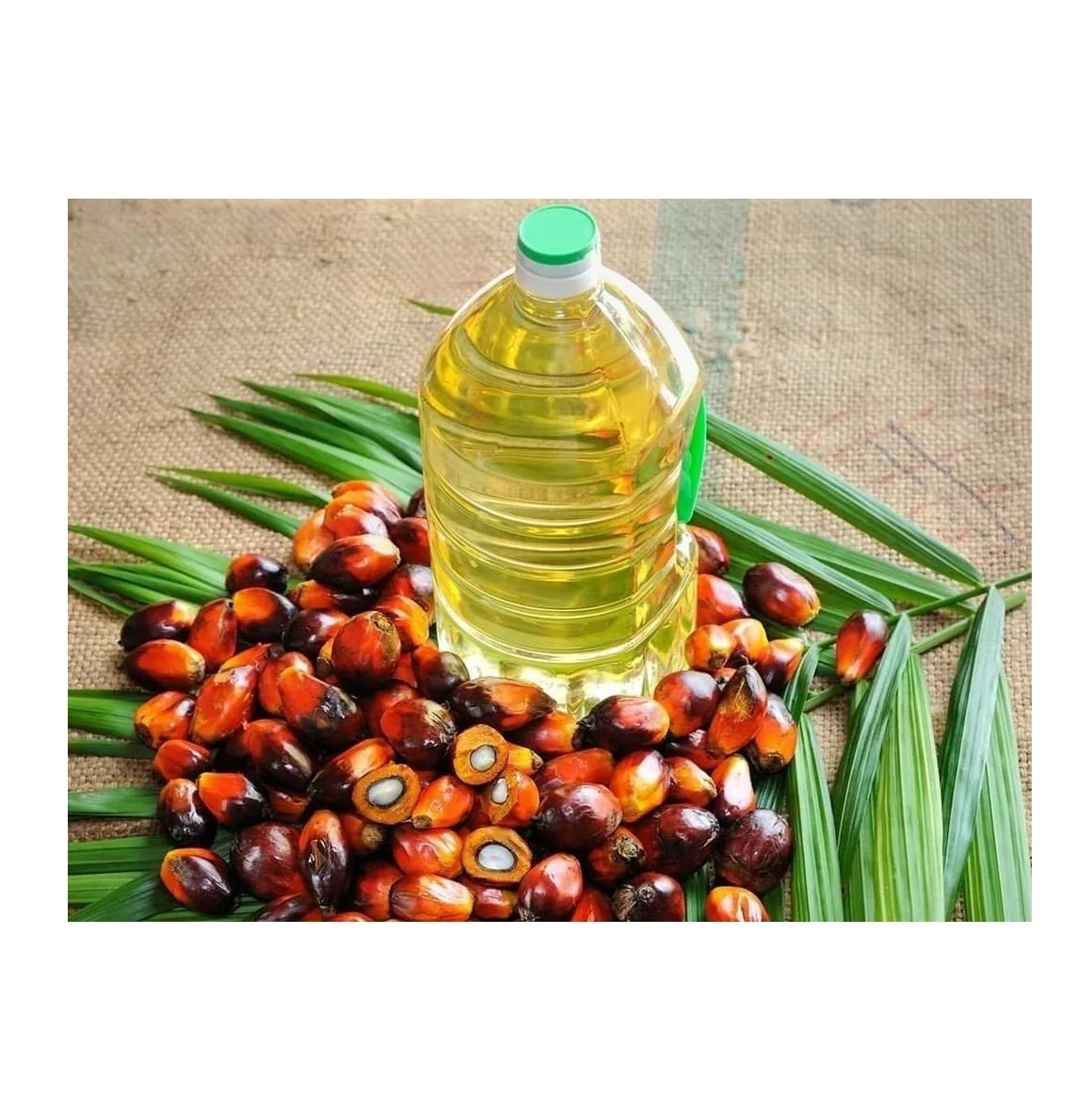 Cheap price Refined Palm Oil for low price Refined Palm Oil