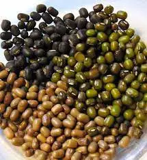 Green Mung Beans