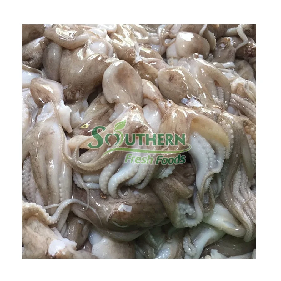 Quality high products SFF Packing shelf usage style WR Wild Caught 2 years life seafood export Frozen Baby Octopus from Vietnam