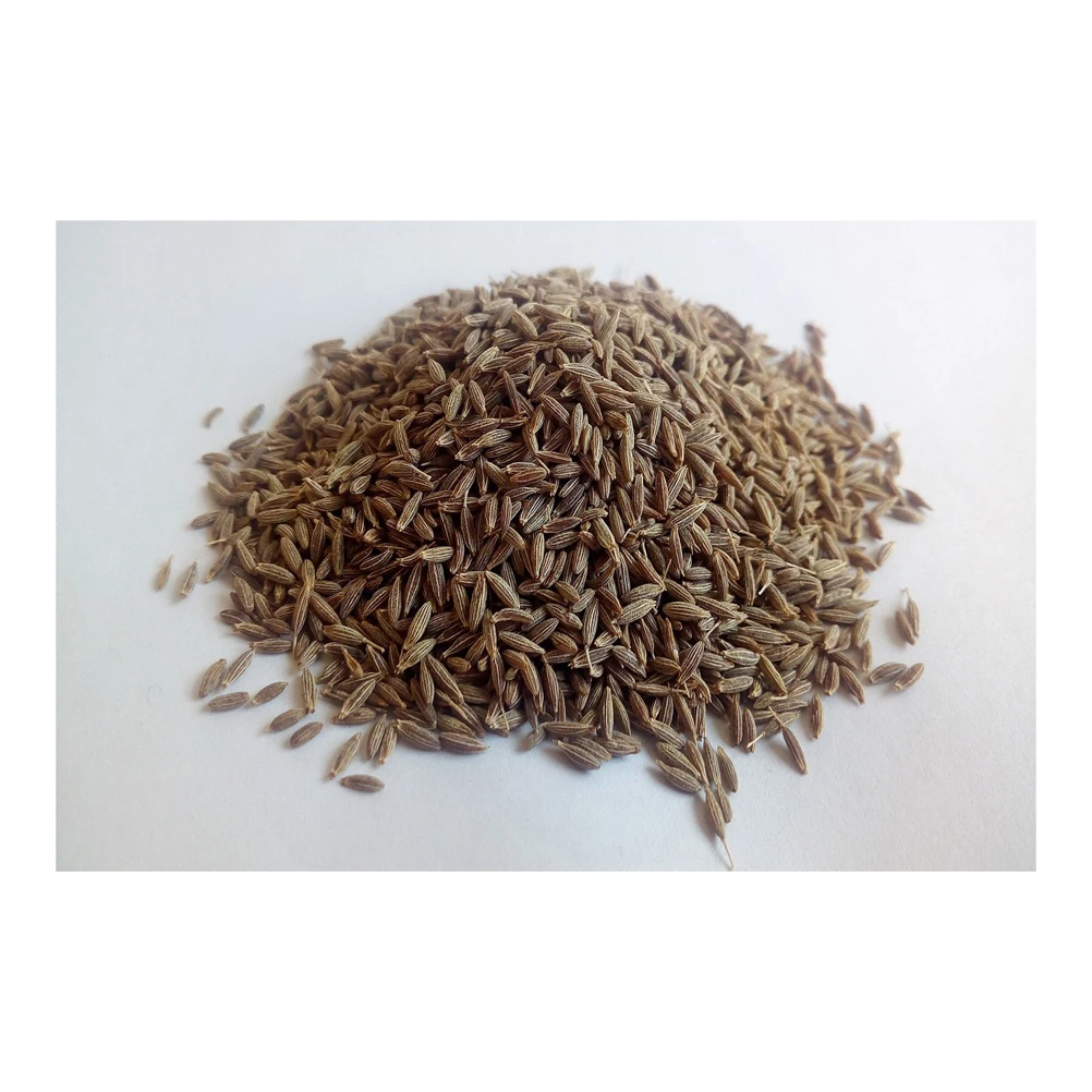Hot sale quality spice cumin seed At low Price offer