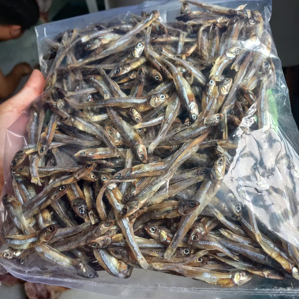 Delicious dried anchovy fish cheapest price dry marine sprats healthy seafood supplied from Vietnam