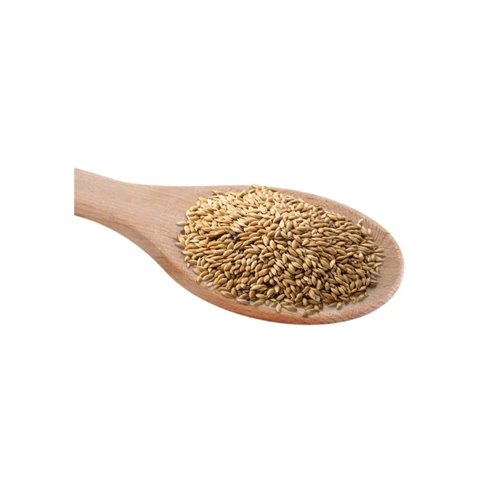 Quality Wholesale Supplier of Animal Feed Grade Organic Canary Seeds for Bulk Purchase