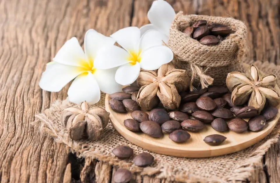 100% Pure Rich in vitamin E Sacha Inchi Oil GIft Box