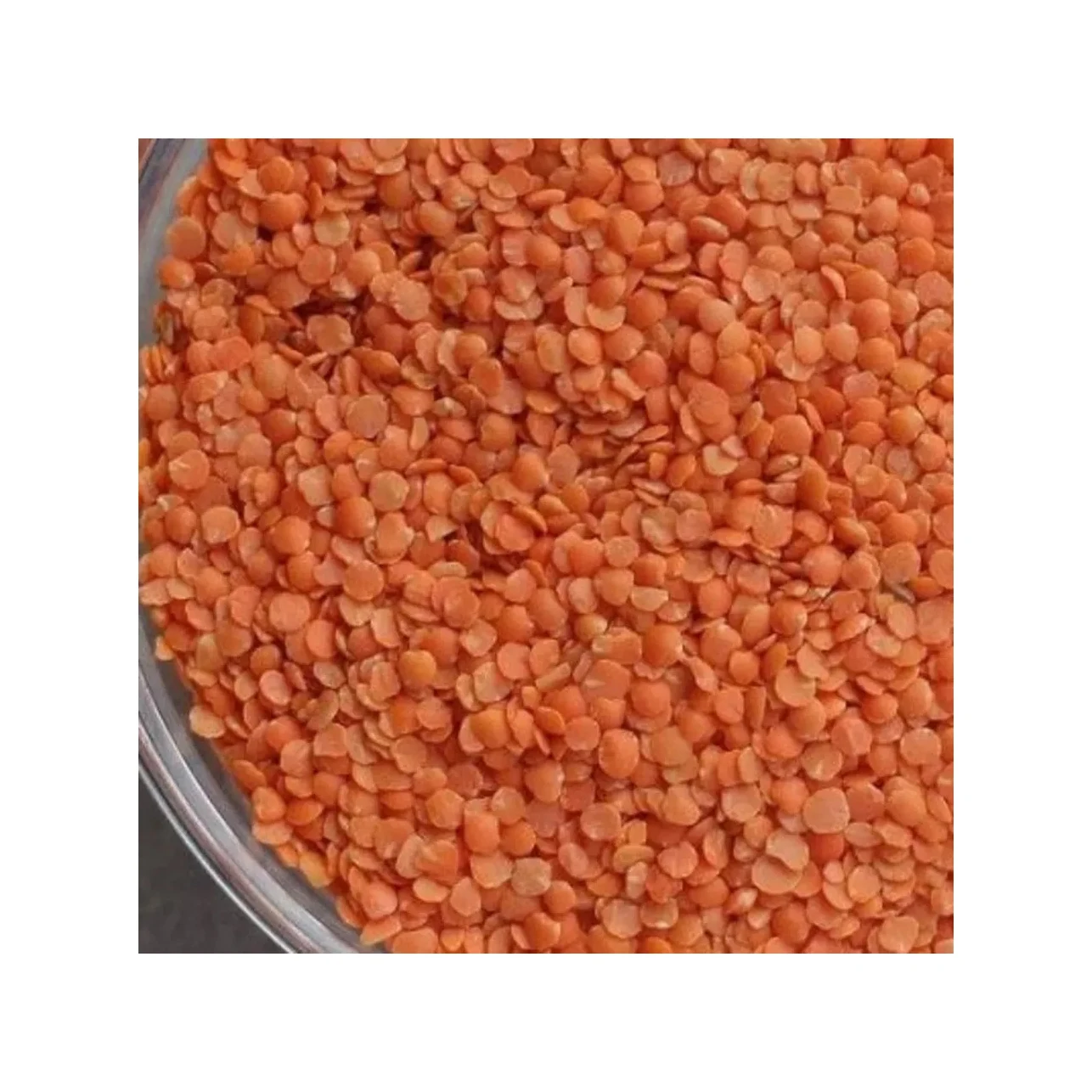 High Quality Organic Red Lentils / Split Red Lentils Available for Sale at Low Price